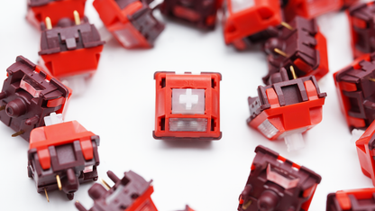 BSUN x HC Studios Roselle Linear Switches (10PCS)
