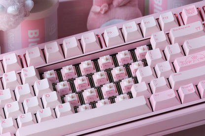 80Retros x HMX Blush Charm Linear Switches