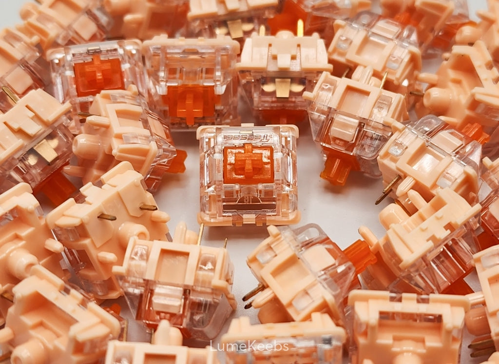 Tecsee Coral Tactile Switches