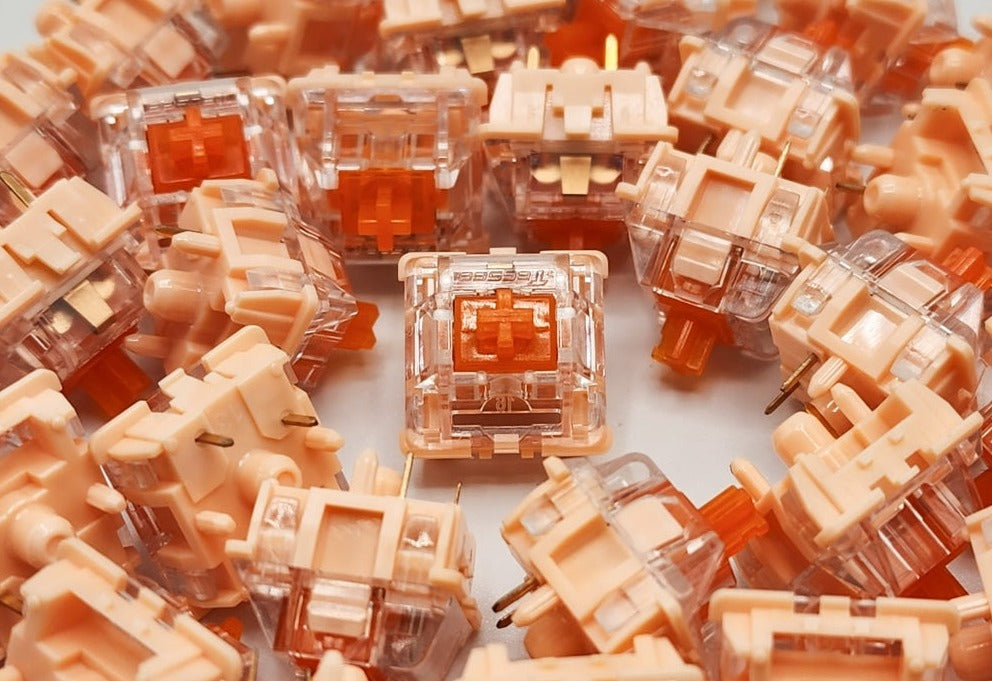 Tecsee Coral Tactile Switches